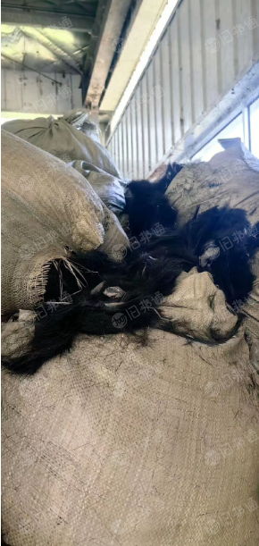 黑色涤纶长丝,短丝,长期大量出售