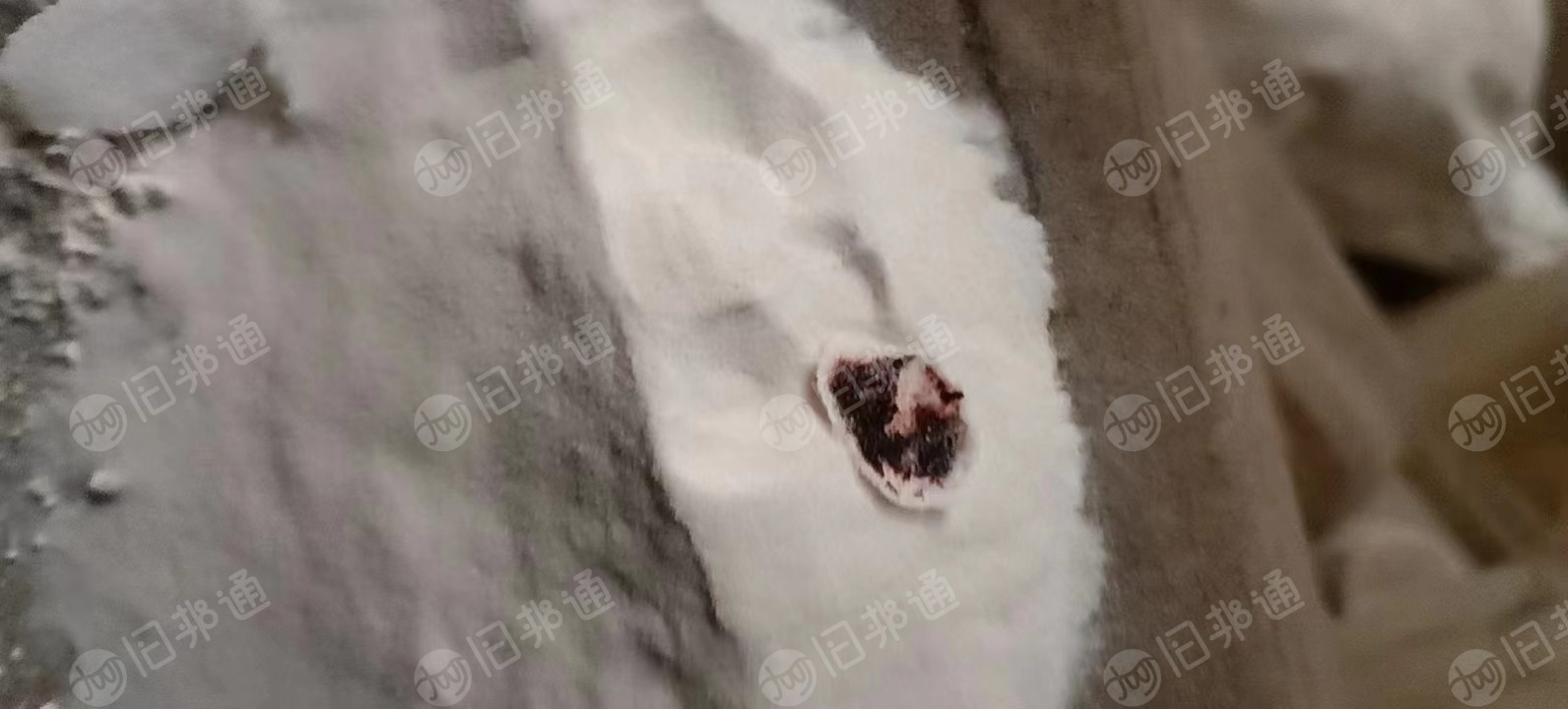 PVC粉,五型树脂粉,现货8吨出售