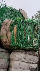 小包PET打包带毛料出售