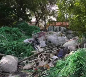 PET打包带毛料，PP打包带毛料长期出售