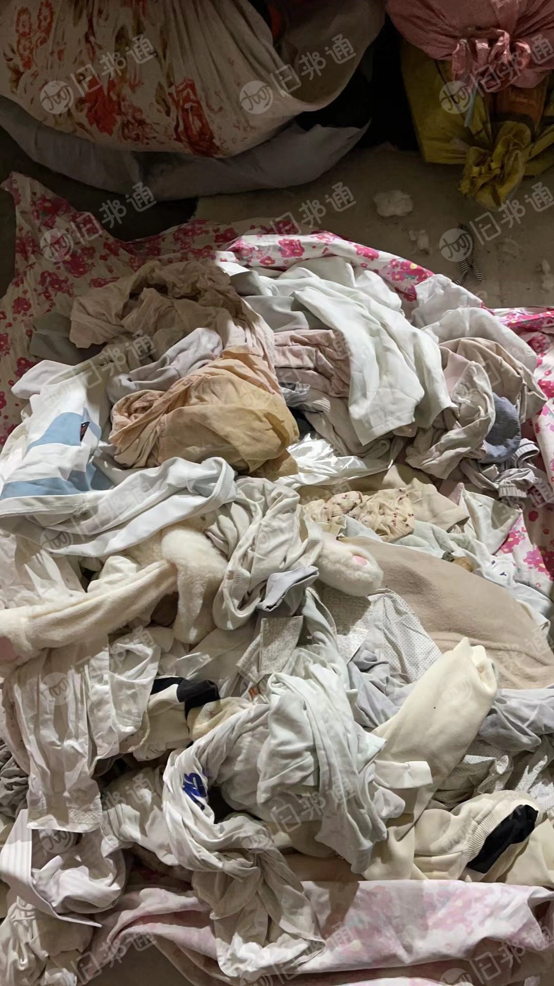 旧衣服大白长期出售