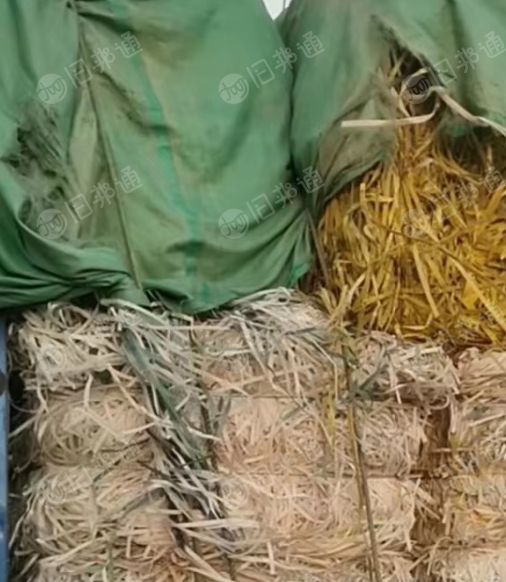 PP打包带毛料,长期出售