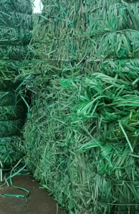 PET打包带毛料常年出售