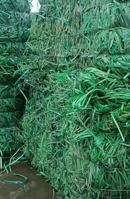 PET打包带毛料常年出售