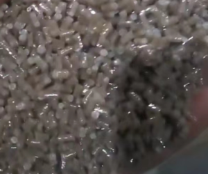 EPS泡沫颗粒长期出售