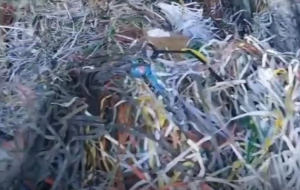 PP打包带毛料长期大量出售