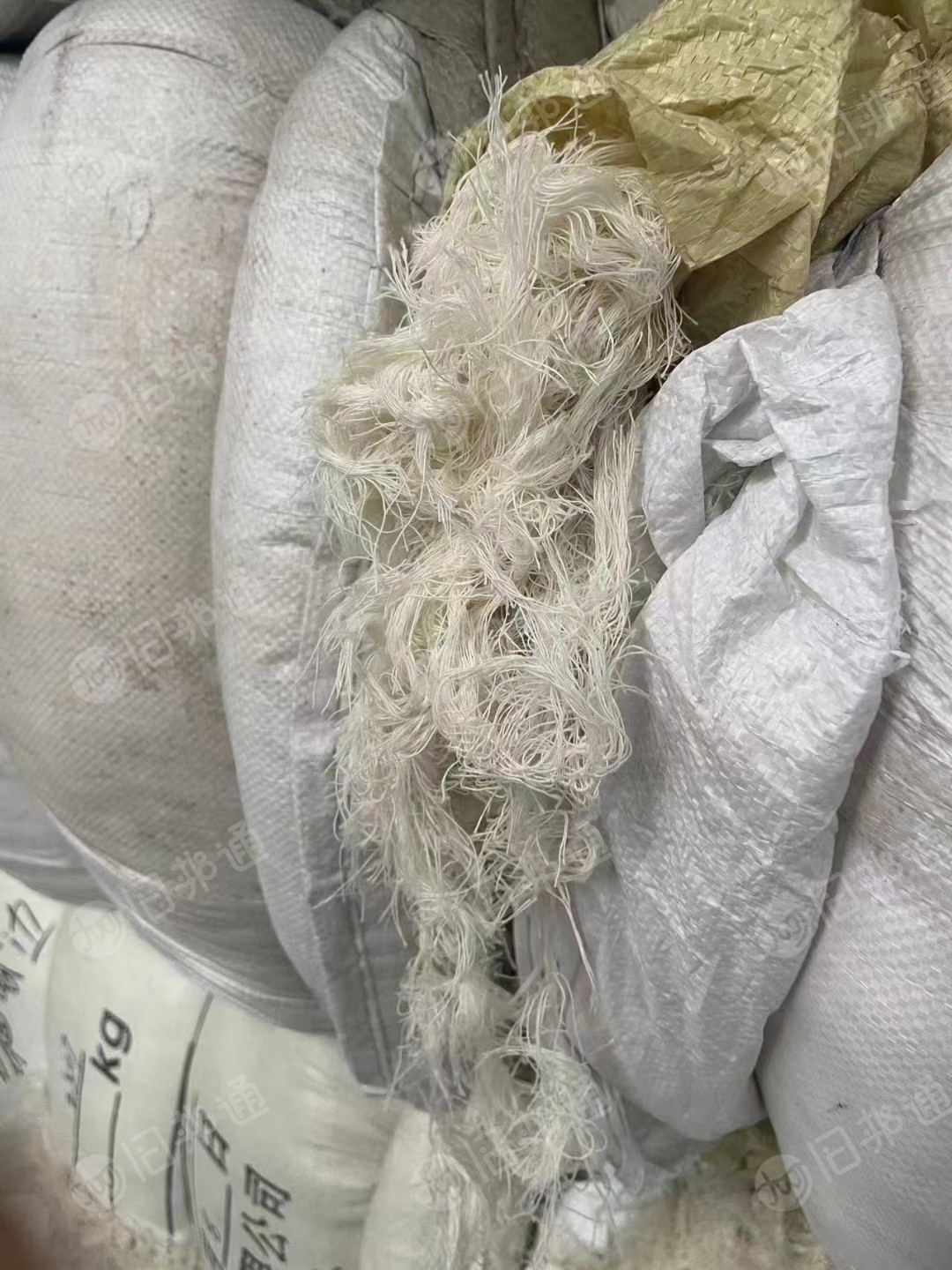 涤棉布边纱,精纺布边纱,长期出售