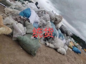 pe二白膜，长期有货