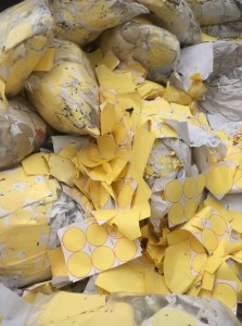 紫菜商标纸大量出售