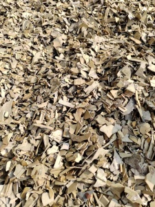 阻燃PP,PPO破碎料