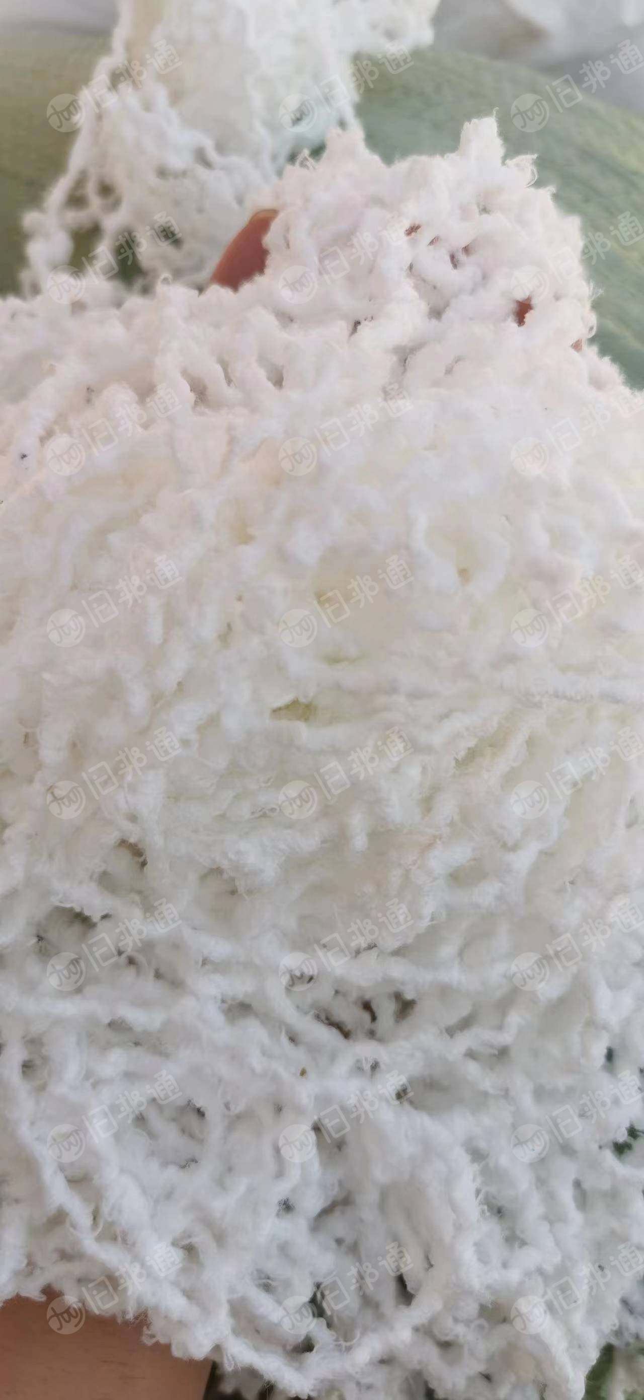 涤纶废丝,涤纶无纺布,无胶的PE和PP高价回收