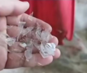 饭盒破碎料，透明丙破碎料常年出售