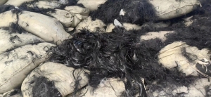 黑色涤纶废丝出售，长期有货