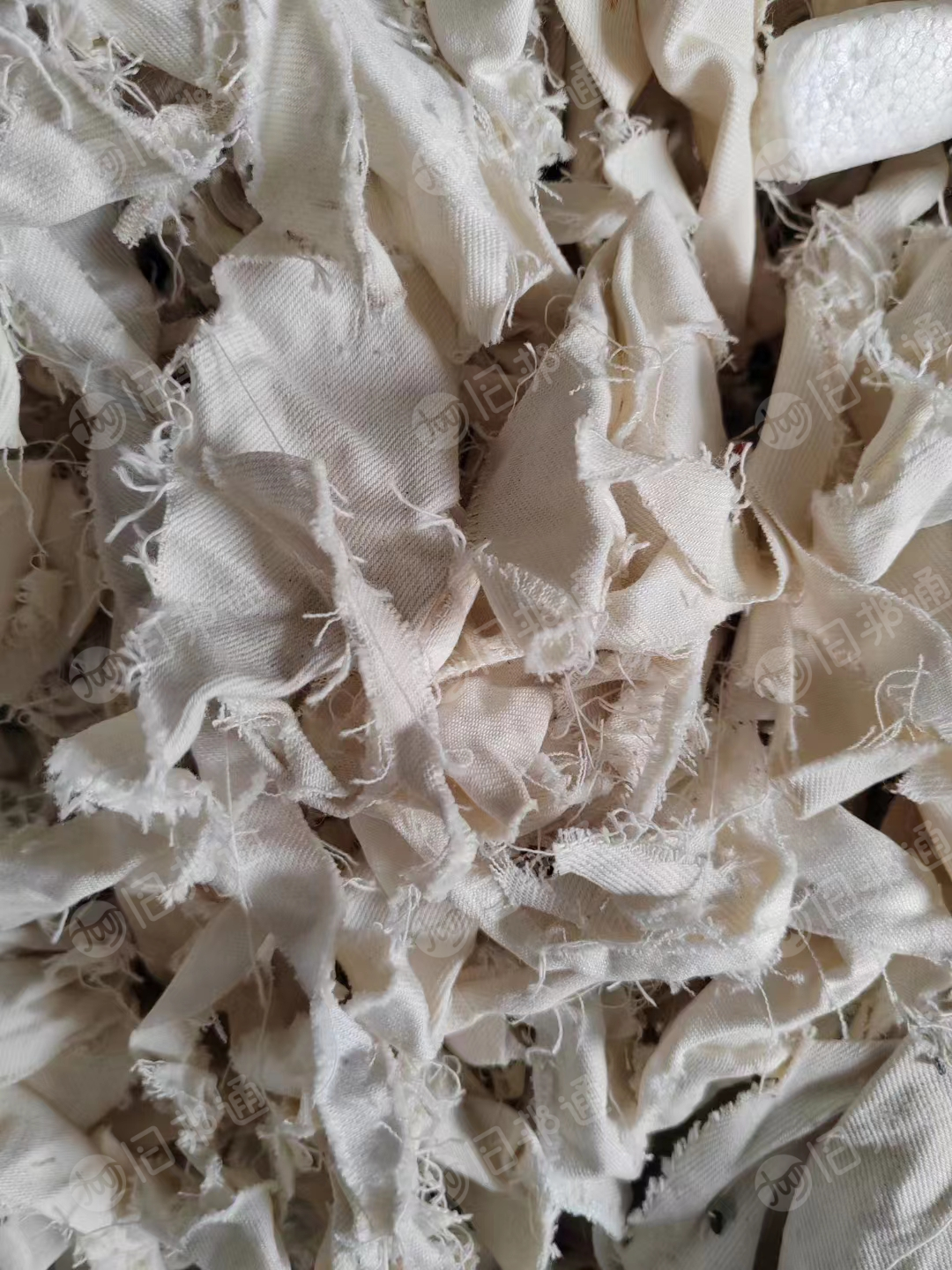 漂白涤棉20吨低价出售