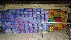 现货十几吨pp水果筐，荔枝框毛料，出售