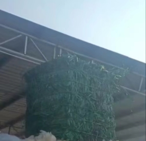 PET打包带毛料，常年出售，10吨就走