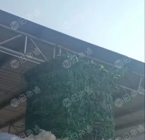 PET打包带毛料,常年出售,10吨就走