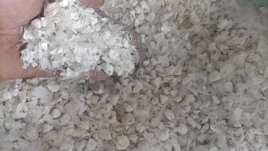 奶白色共聚机头料碎，含填充，出售