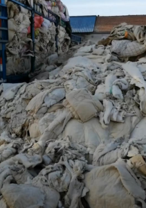 古棉，棉套子长期供应