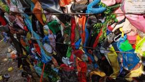 出售花乙压块料，不含丙料纯低压