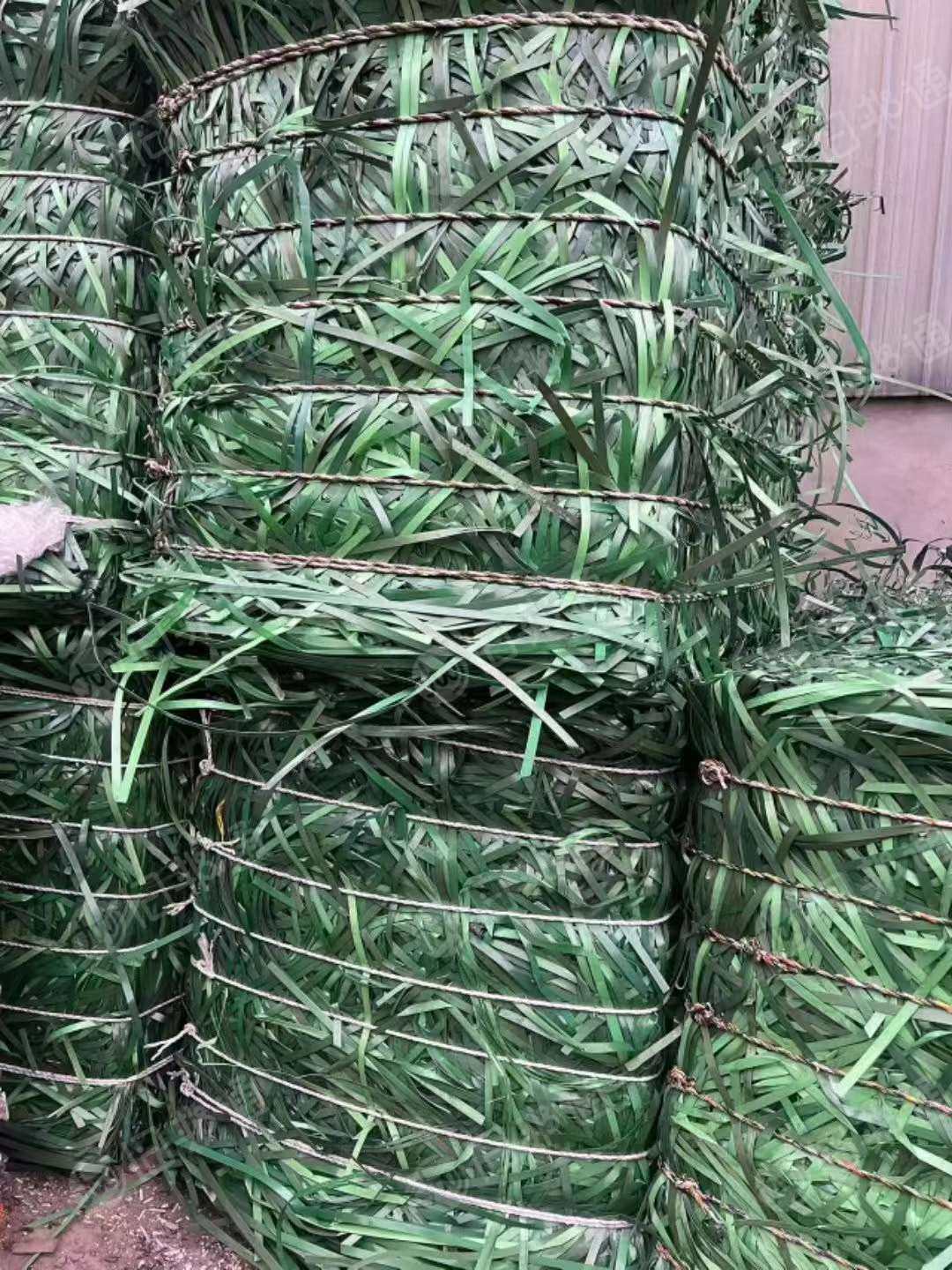 红聚酯料,绿色打包带,瓶盖,杂绿,乐虎等等,大量现金收购