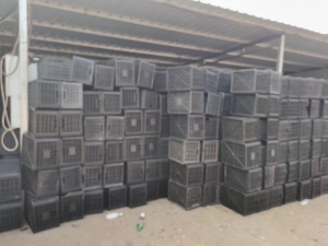 各种废旧水果筐大量回收