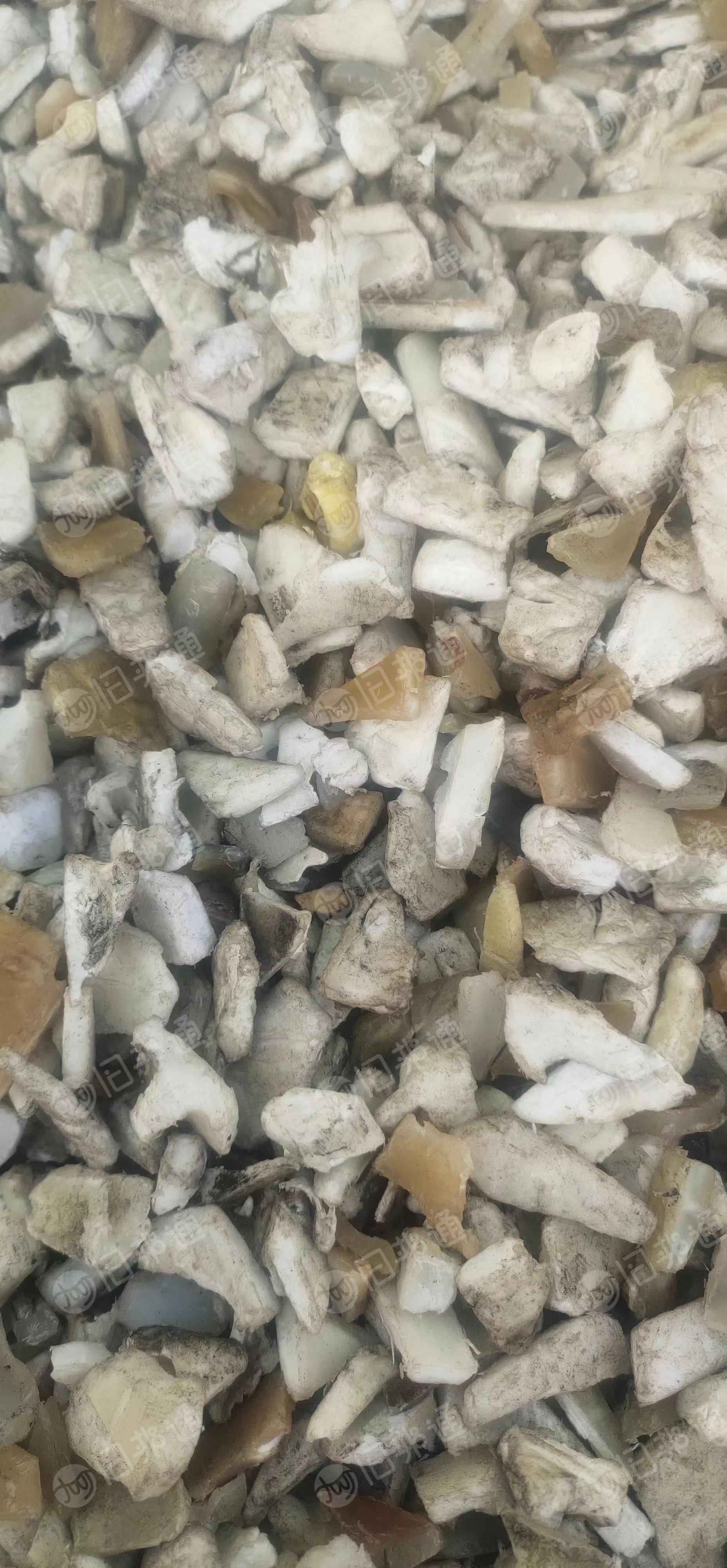 增强聚丙pp粉碎料,长期出售