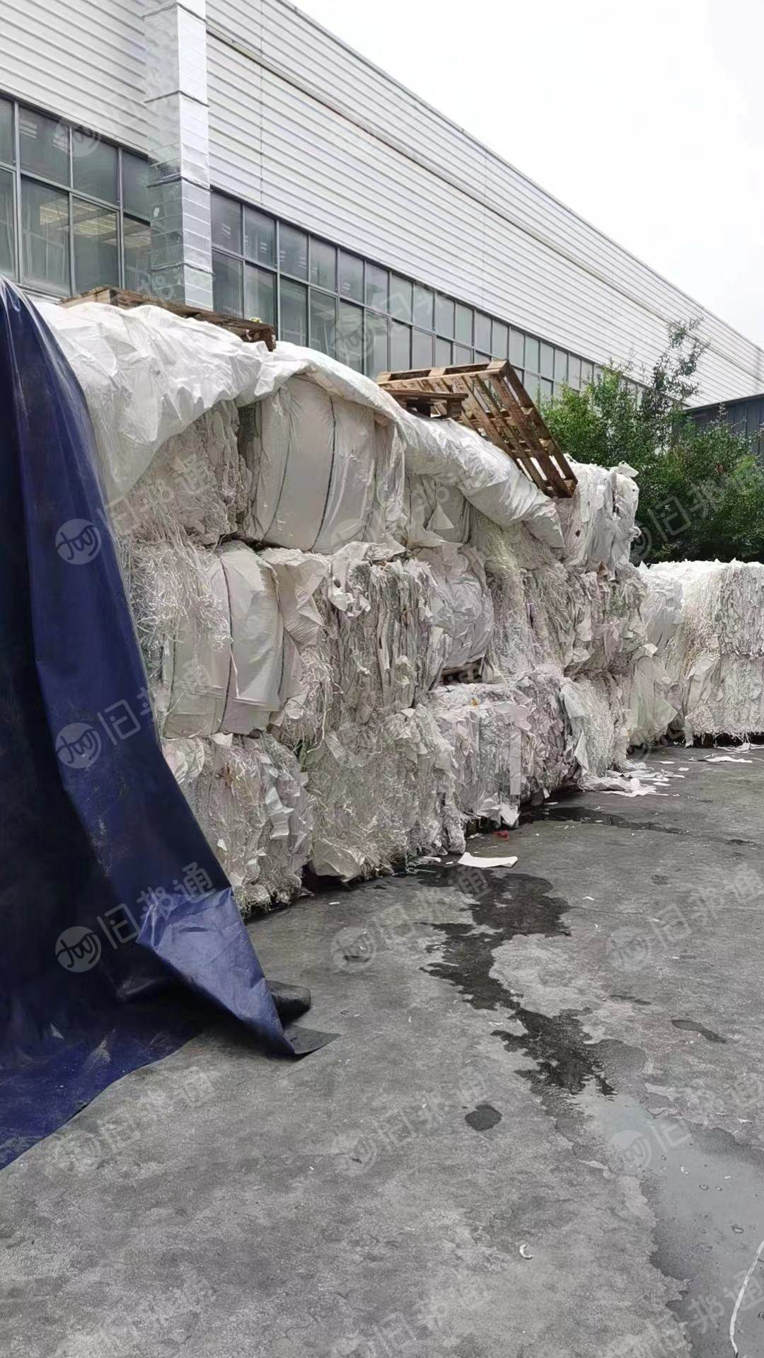 无膜不干胶印刷纸长期出售