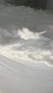 脱脂棉，盖板棉，长期大量出售