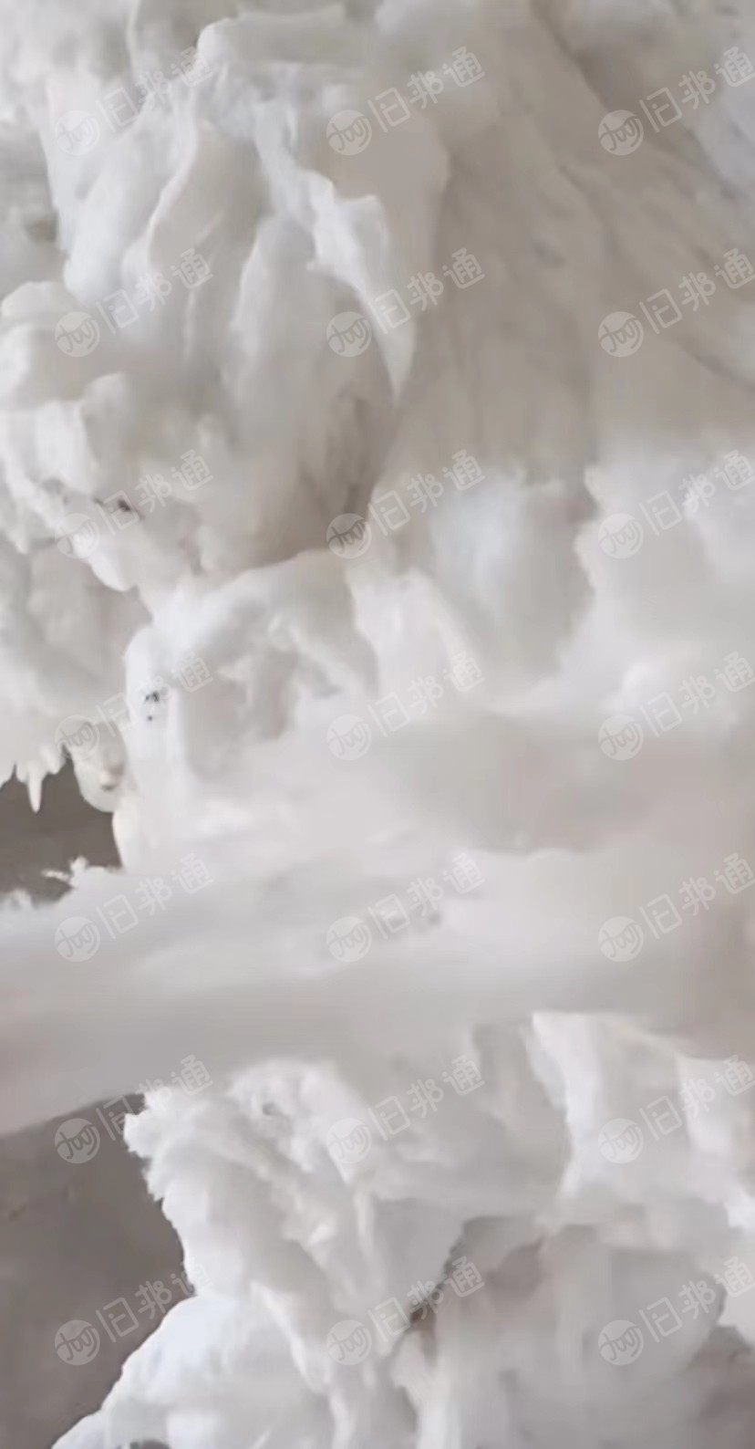脱脂棉,盖板棉,长期大量出售