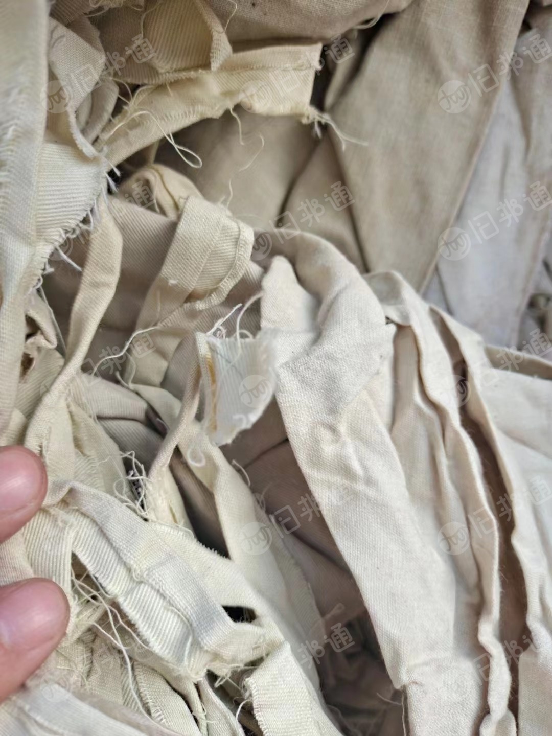 梭织涤棉,涤棉开花料,大量出售