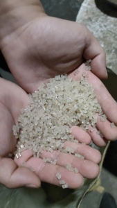 eps泡沫颗粒，白色EPS颗粒，茶色EPS颗粒长期出售