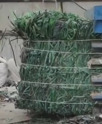 pet绿色打包带，现货一挂，长期出售