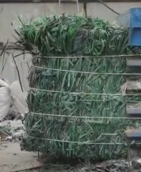pet绿色打包带,现货一挂,长期出售