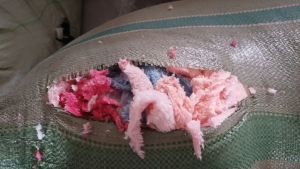 纯涤纶拉丝下脚料15吨出售