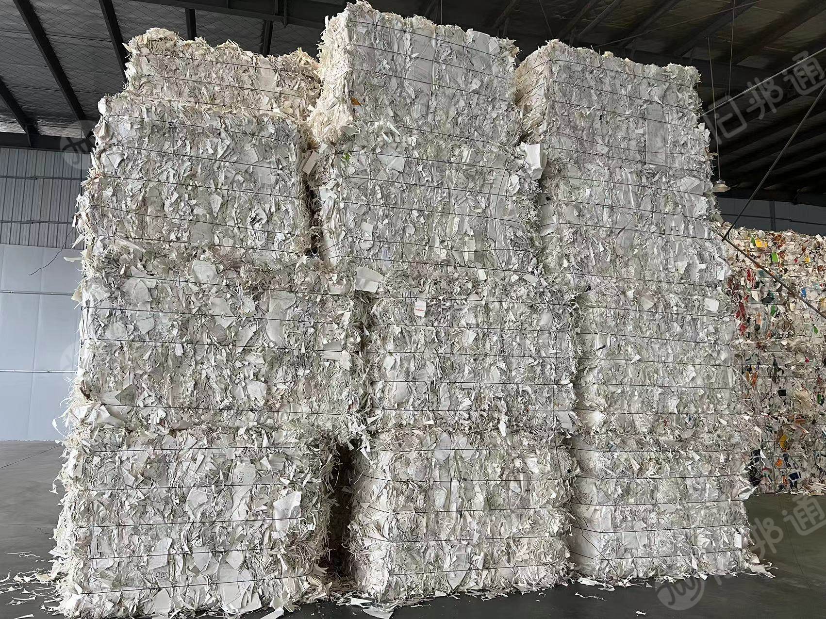 纯白口杯纸,二级白口杯纸长期大量出售