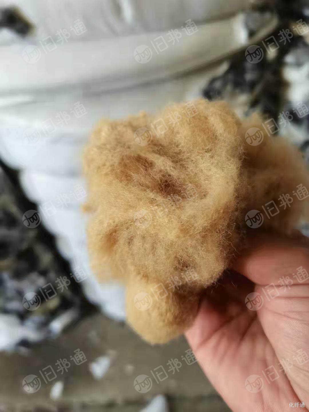 驼色6d*51,涤纶短纤,长期出售