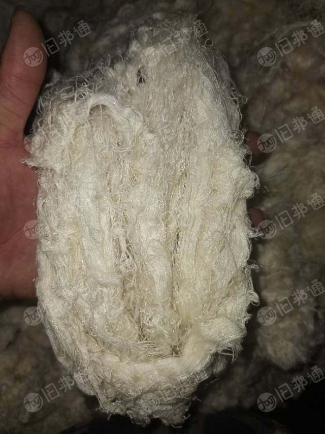 精梳纯棉自落回丝,含锦纶,大量出售