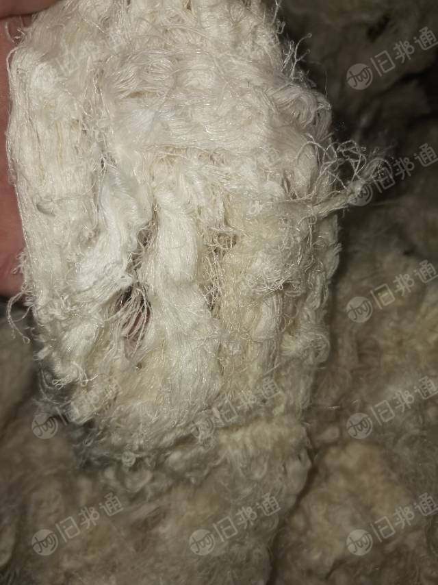 精梳纯棉自落回丝,含锦纶,大量出售