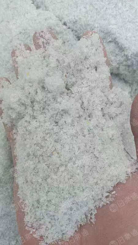 pet粉末和pet纯白浆块,大量回收