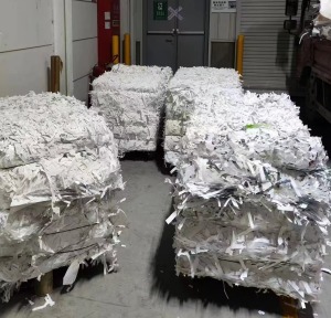 不干胶白纸长期出售