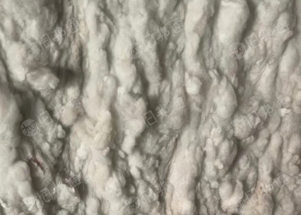 棉被开花料,开松好的丝绵,开松枕芯棉,长期供应,现货几十吨!