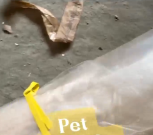 无胶无涂层PET膜废料大量出售