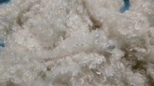 3D-15D32/51/64 有硅和无硅三维中空、15-32 mm羽绒棉，无荧光产品，长期出售