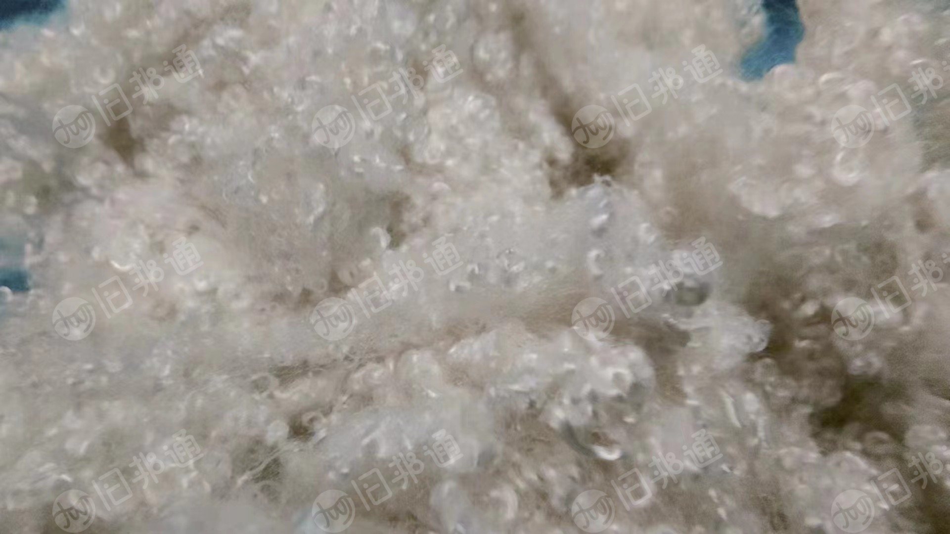 3D-15D32/51/64 有硅和无硅三维中空、15-32 mm羽绒棉,无荧光产品,长期出售