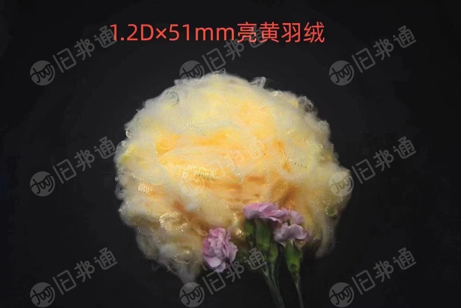 二维高弹,加硅无硅,三维中空加硅、无硅、硬质棉、大化等,长期出售
