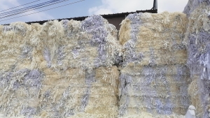 双胶纸白纸边废料长期出售