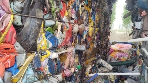 杂花乙压块，常年供应