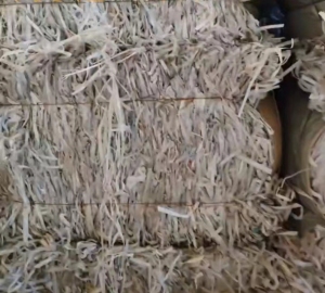 浮水PP打包带毛料，透明黄色都可以，长期大量回收