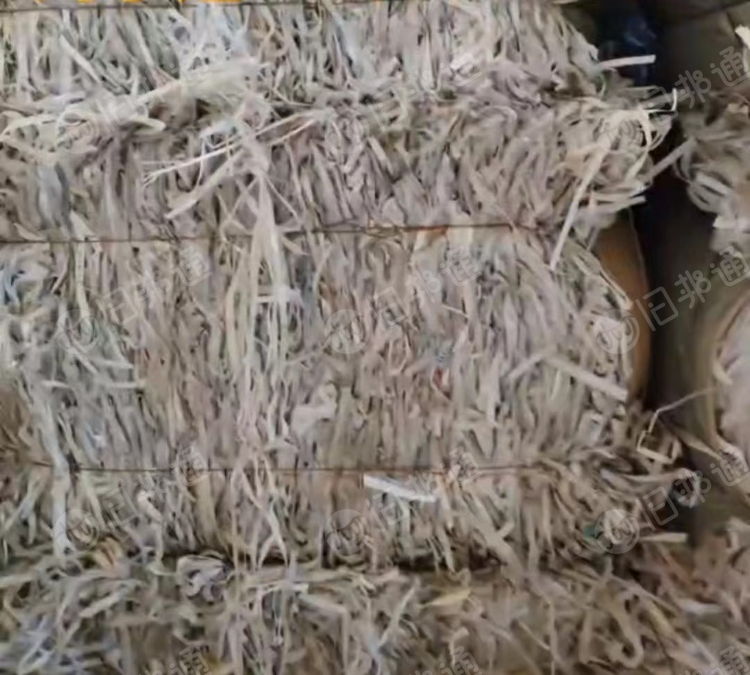 浮水PP打包带毛料,透明黄色都可以,长期大量回收